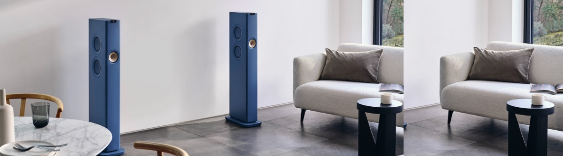Loa Wireless