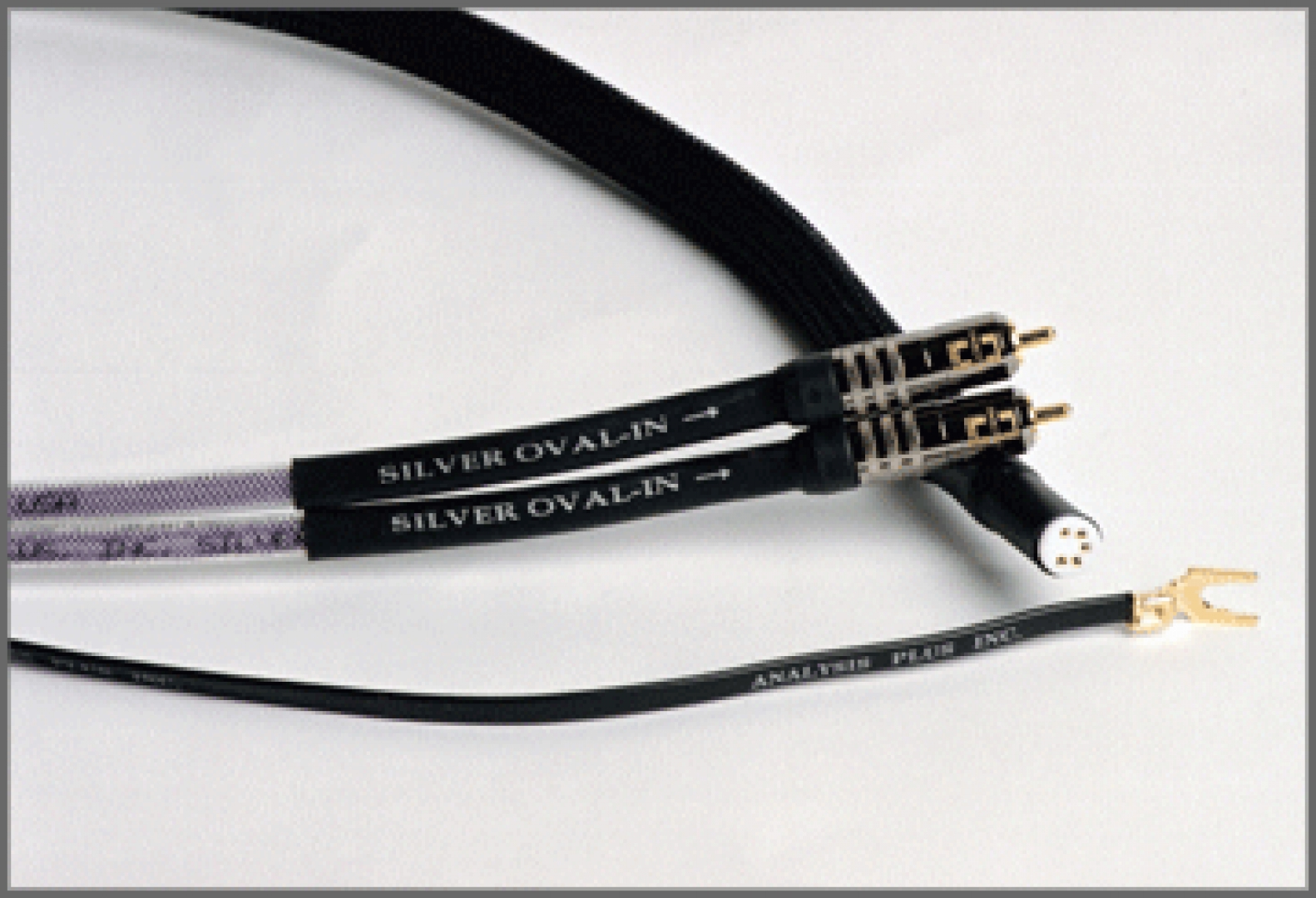 Analysis Silver Oval Phono