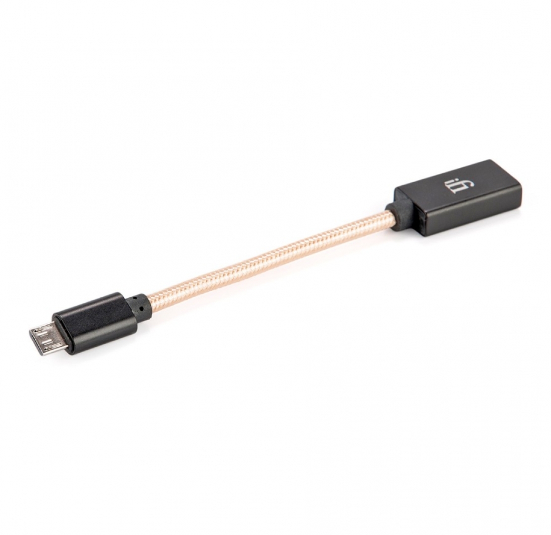 iFi OTG CABLE 