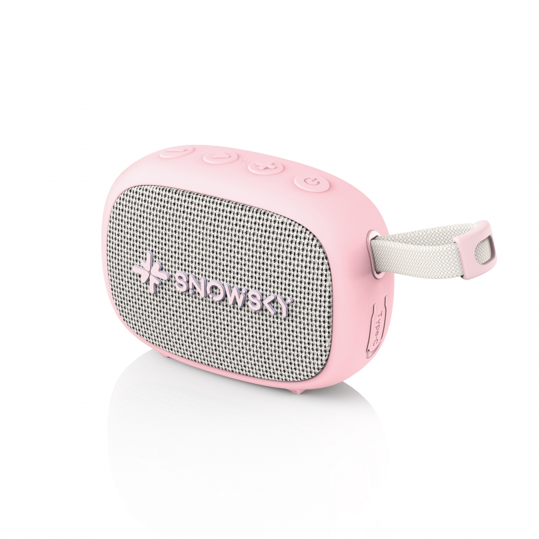 FiiO SNOWSKY Anywhere