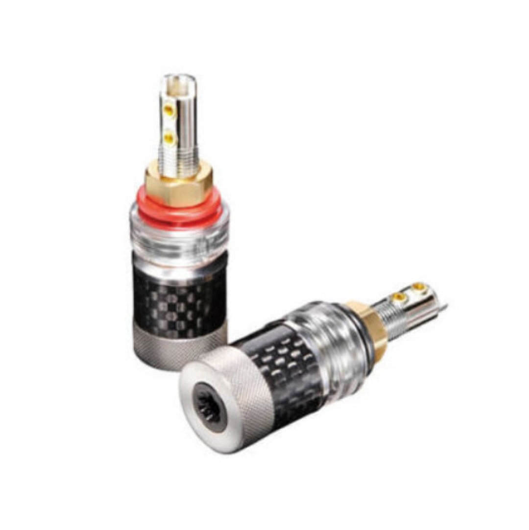 Furutech FT 818 (R)