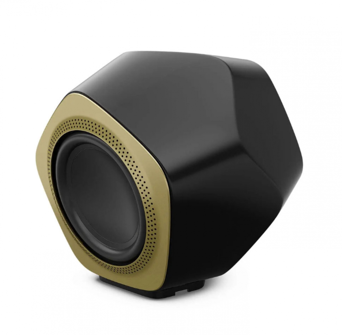 Loa Subwoofer Bang & Olufsen BeoLab 19